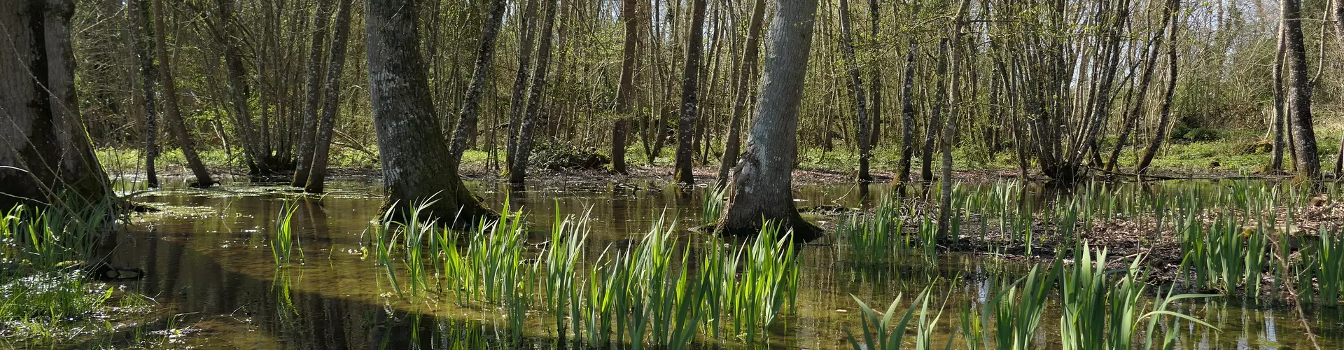 Espaces Naturels Sensibles (ENS) du Loiret