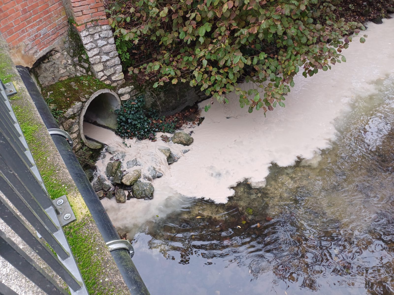 Rejet pluvial blanc dans l'Oeuf