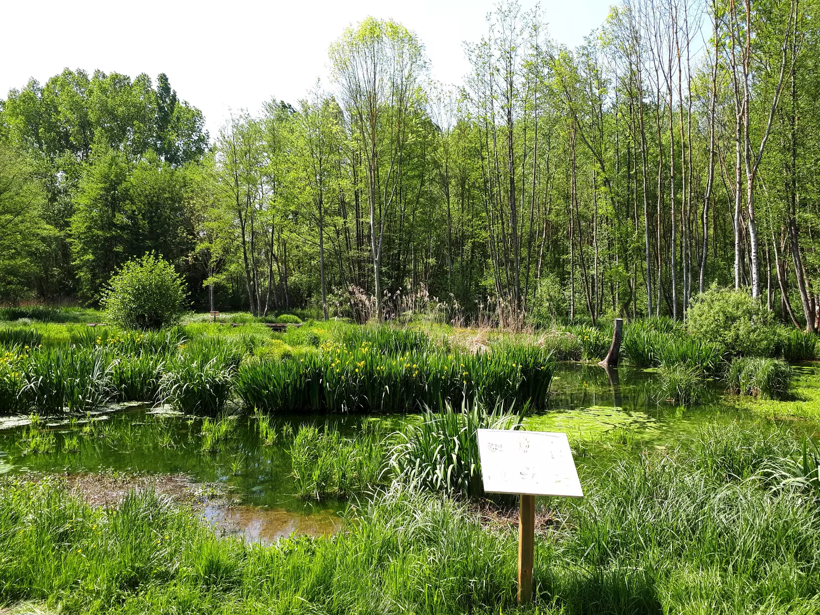 ens moulin de la porte