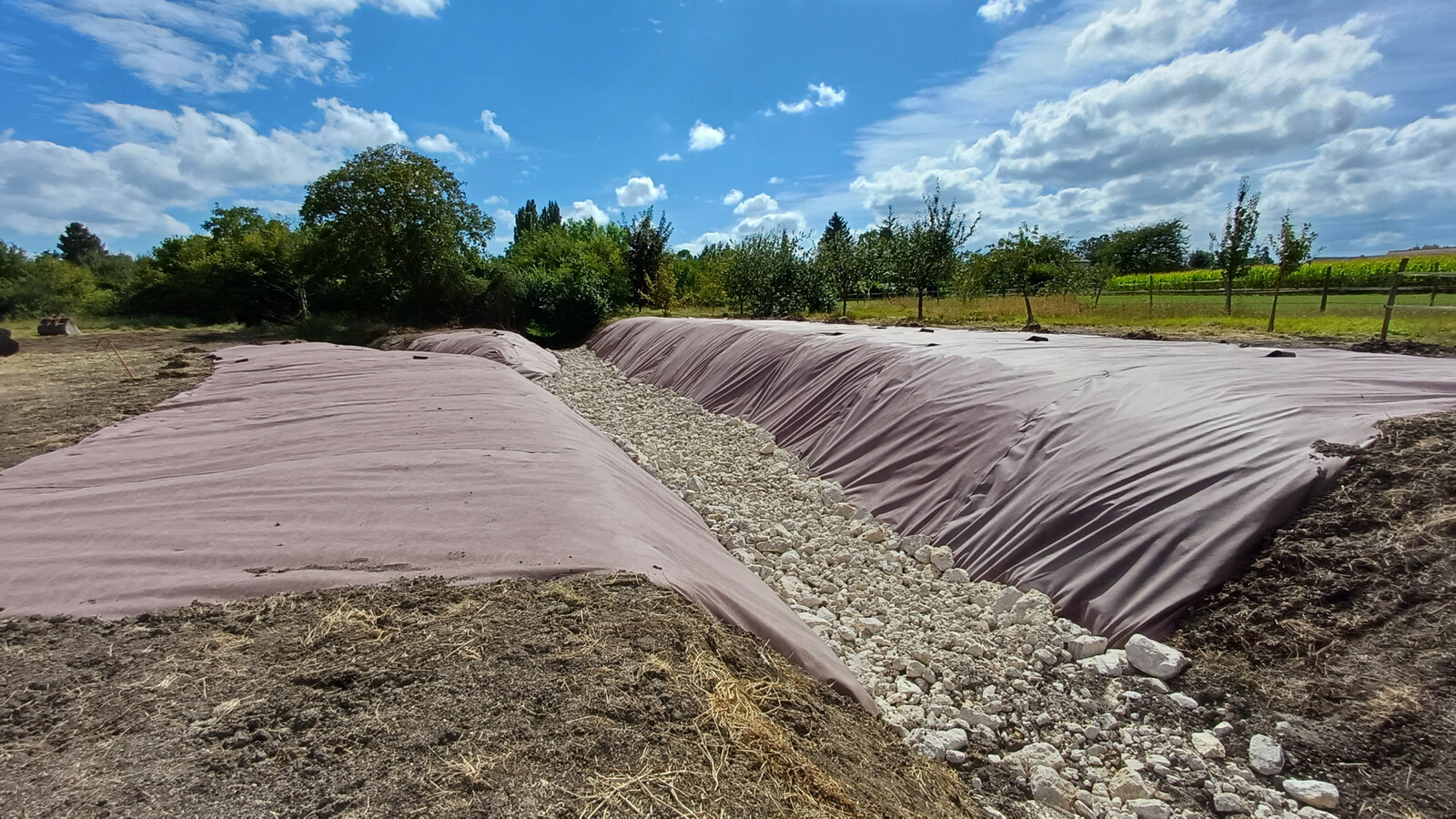 Après travaux de bâchage de la renouée