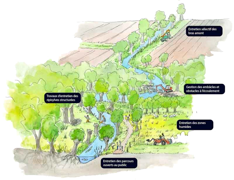 schema dessin couleur