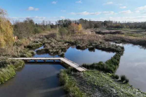 zone humide avec ponton en bois