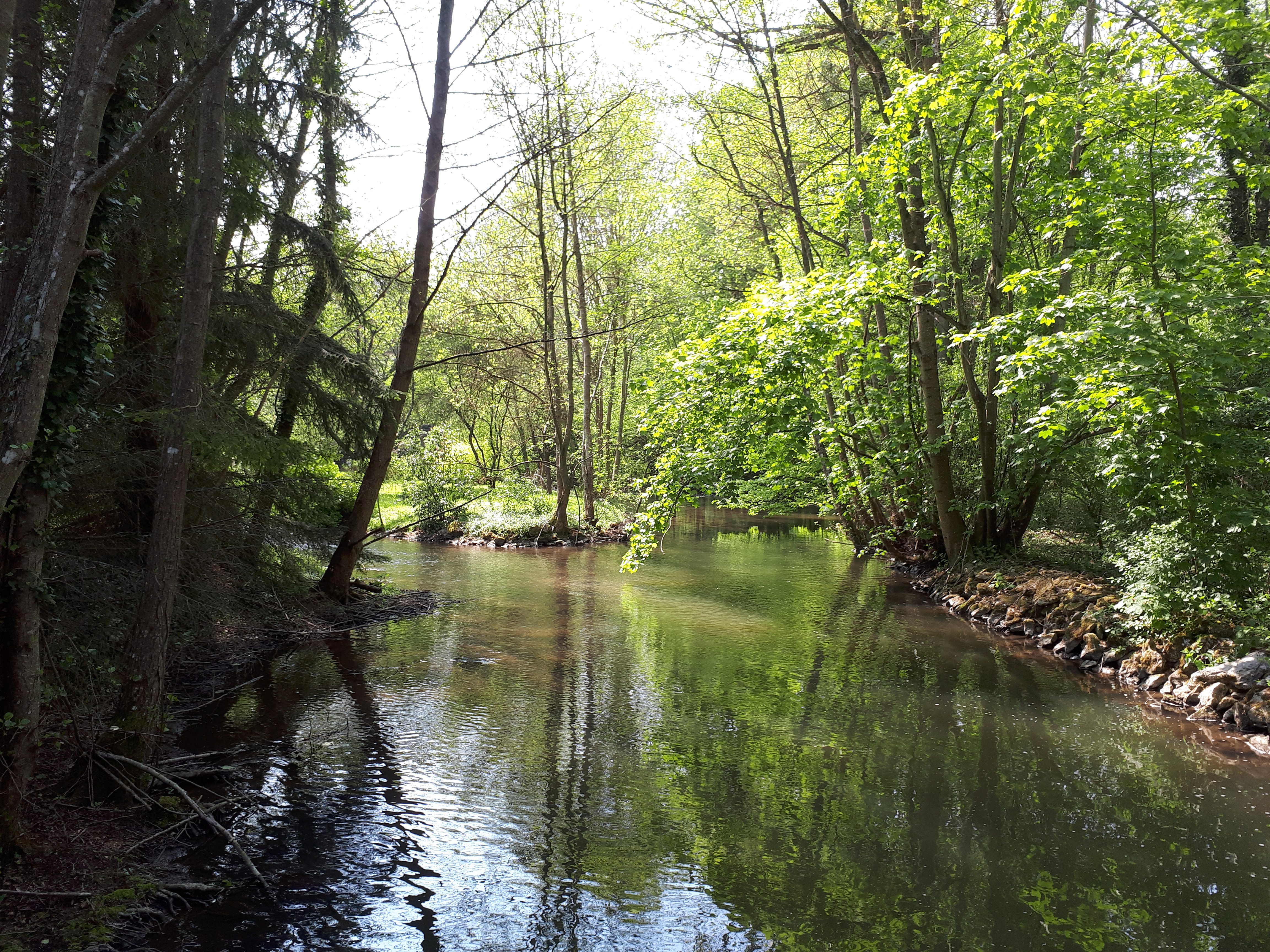 photo montrant le cours d'eau d'Essonne