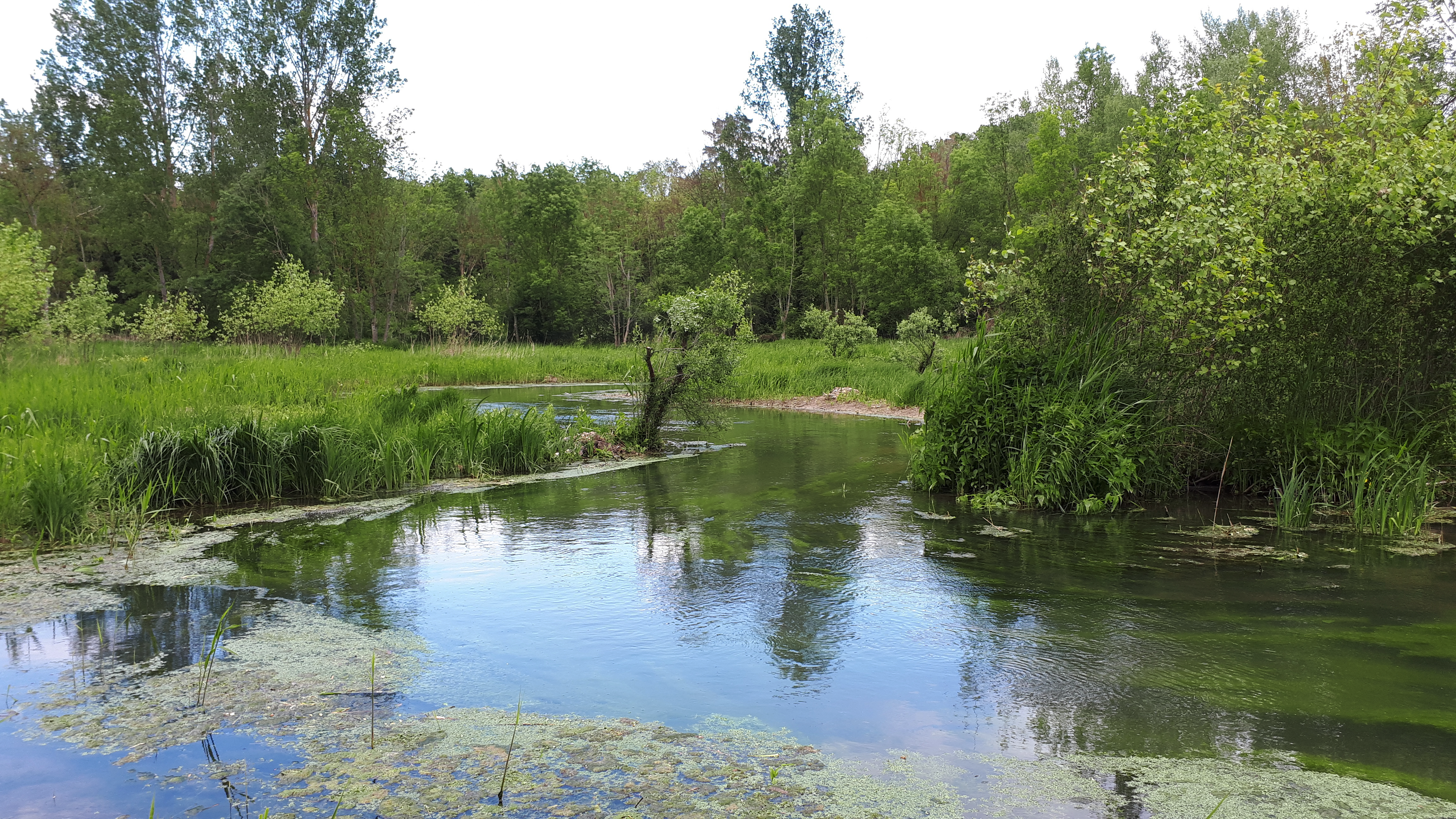 photo montrant le cours d'eau de la Rimarde