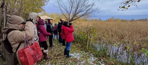 Personnes observant les oiseaux aux jumelles