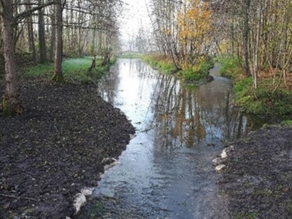 Restauration de la continuité et de l’hydromorphologie de l’Œuf au moulin de Doureux</br><annee-travaux>2021</annee-travaux>