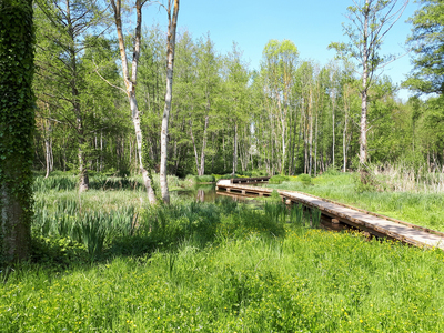 Le Marais du Moulin de la Porte