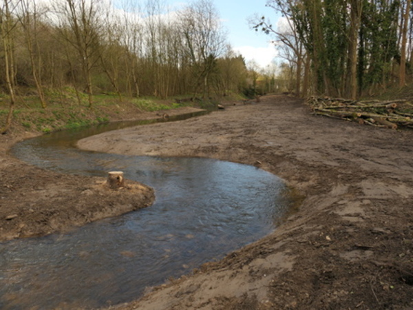 Restauration hydromorphologique de l’Œuf à Pontournois</br><annee-travaux>2023</annee-travaux>