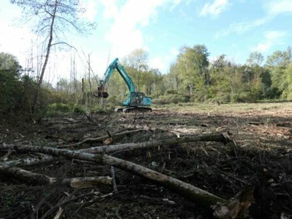 Restauration de la zone humide de Secval</br><annee-travaux>2022</annee-travaux>