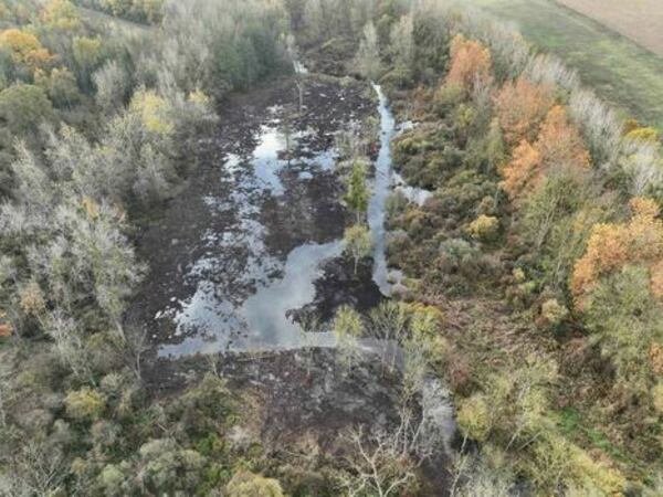 Restauration de la zone humide de Secval</br><annee-travaux>2022</annee-travaux>