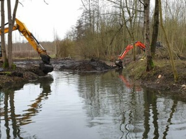 Restauration de la continuité et de l’hydromorphologie à Solvins</br><annee-travaux>2020</annee-travaux>